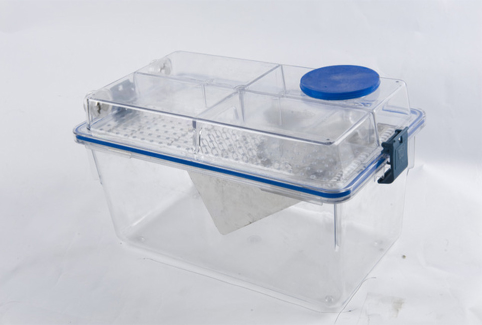 Cage use commonly mouse & rat