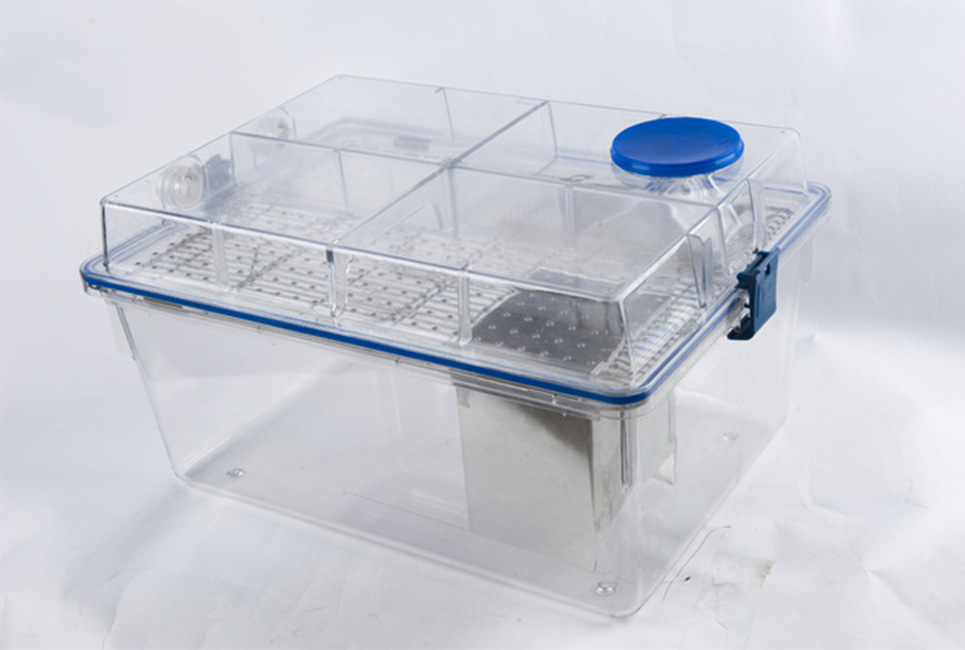 IVC guinea pig cage (bottle inside/outside)