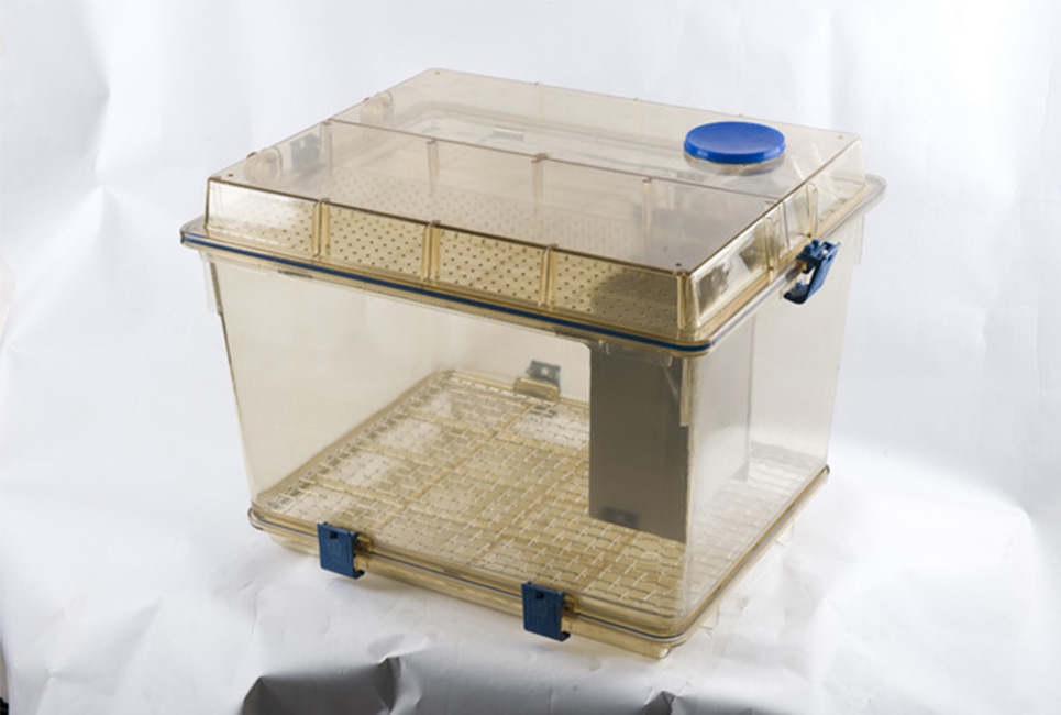 IVC  rabbit cage (bottle inside)